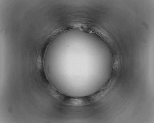 X0000113010469200909101821