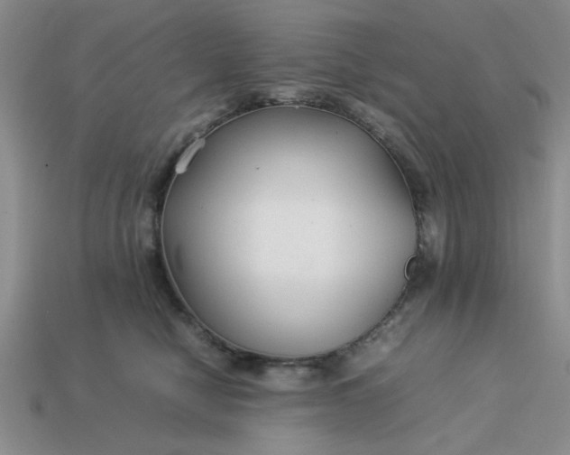 X0000113010470200909101821