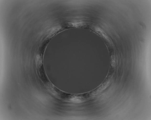 X0000113010471200909101821