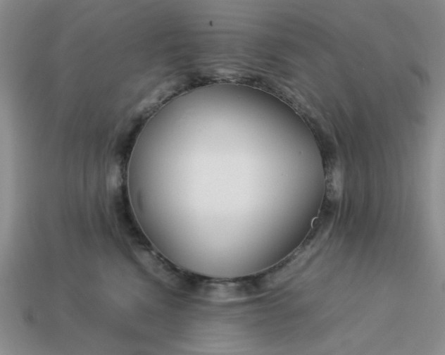 X0000113010472200909101821