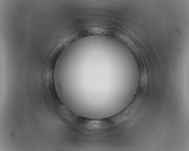 X0000113010473200909101821