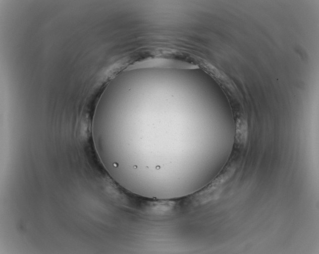 X0000113010474200909101821