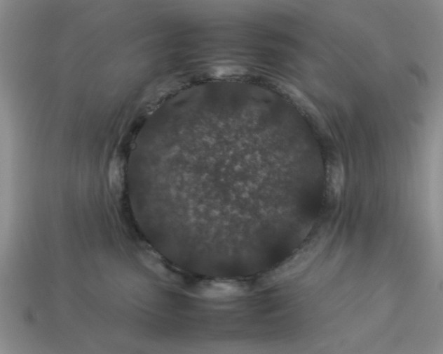 X0000113010475200909101821