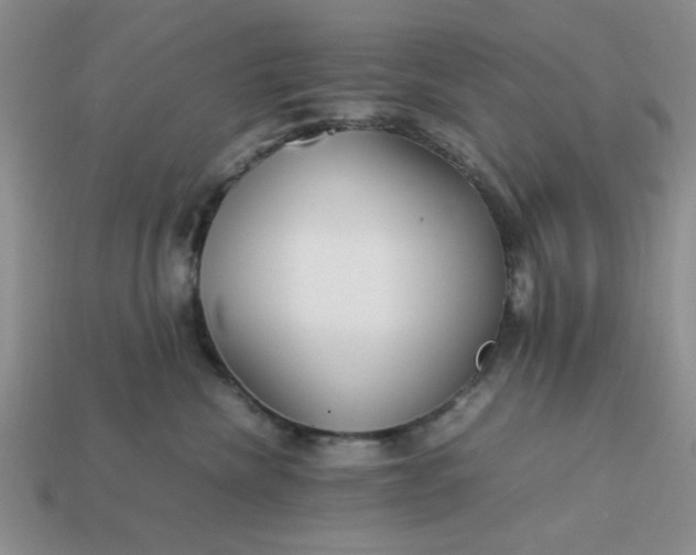 X0000113010476200909101821