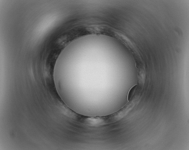 X0000113010477200909101821