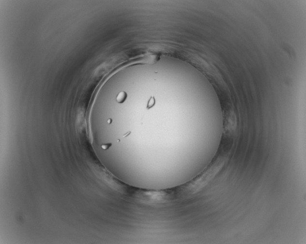 X0000113010478200909101821