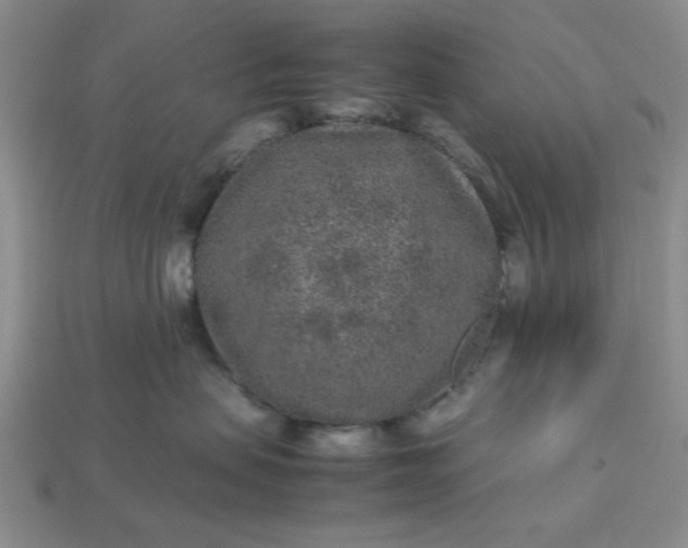 X0000113010479200909101821