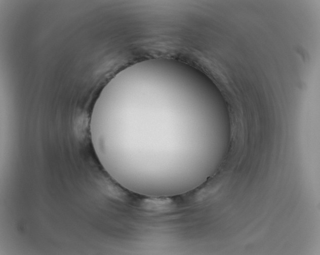 X0000113010480200909101821