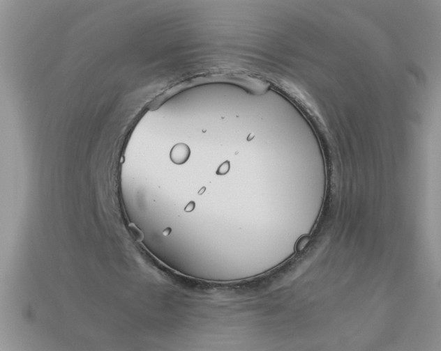 X0000113010481200909101820