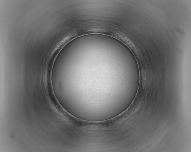 X0000113010482200909101820