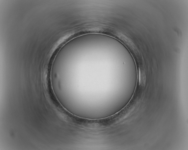 X0000113010483200909101820