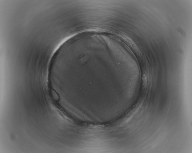 X0000113010484200909101820