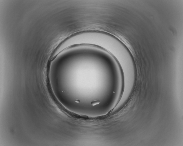 X0000113010485200909101820