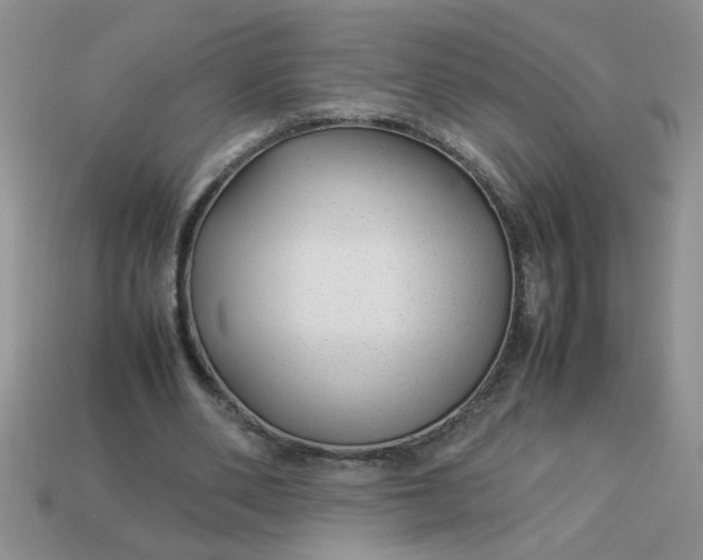 X0000113010486200909101820