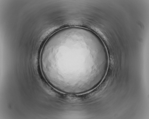 X0000113010487200909101820