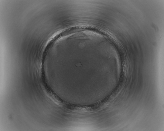 X0000113010488200909101820