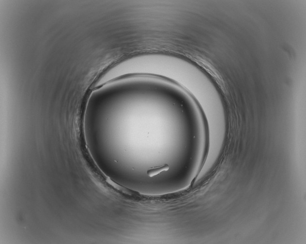 X0000113010489200909101820