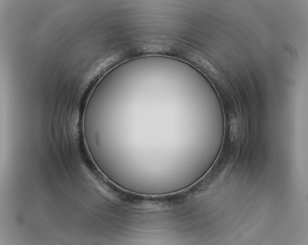 X0000113010490200909101820