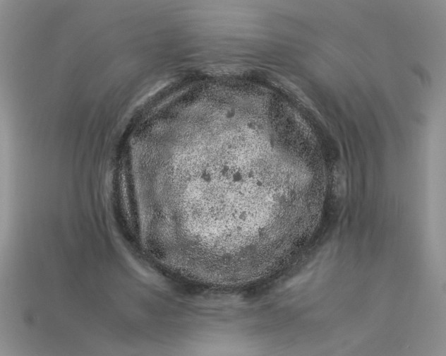 X0000113010491200909101820