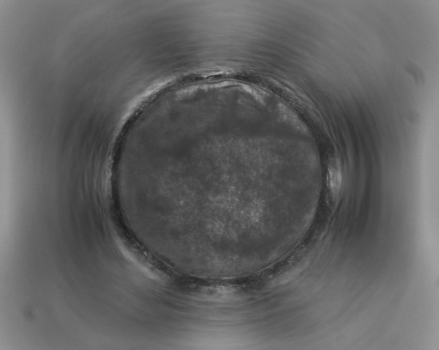 X0000113010492200909101820