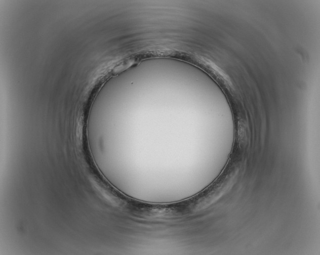 X0000113010493200909101820