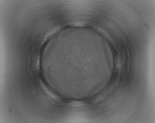 X0000113010494200909101820