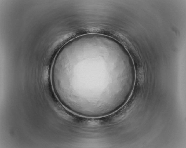 X0000113010495200909101820