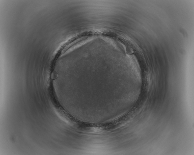 X0000113010496200909101820