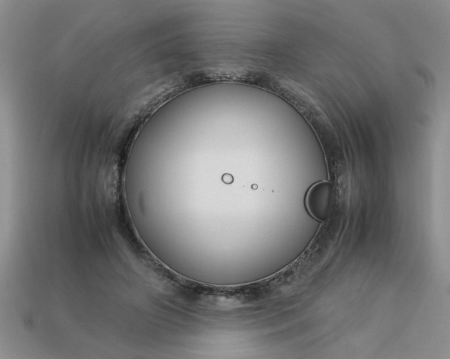 X0000113010498200909101820