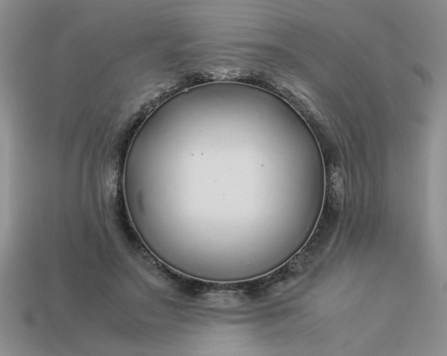 X0000113010499200909101820