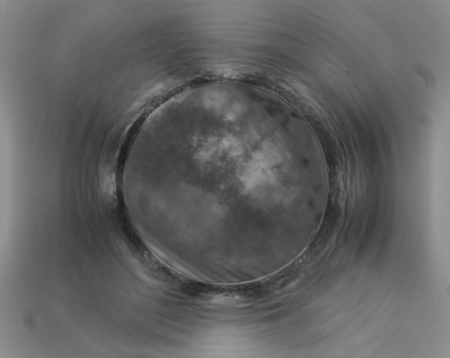 X0000113010500200909101820