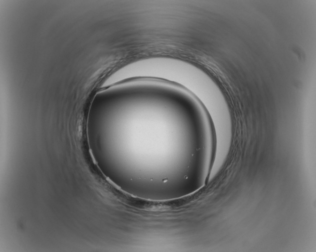 X0000113010501200909101820