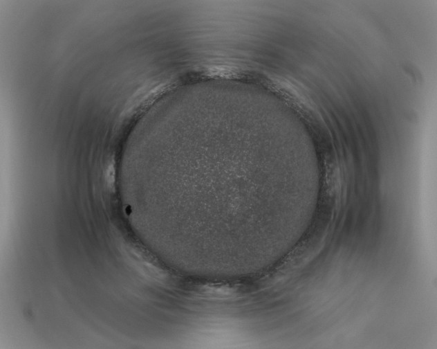 X0000113010502200909101820