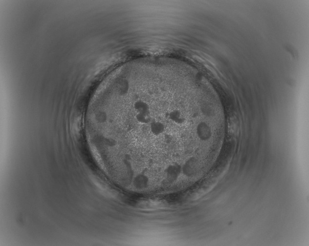 X0000113010503200909101820