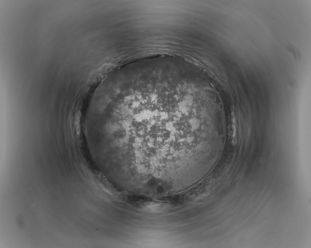 X0000113010504200909101820