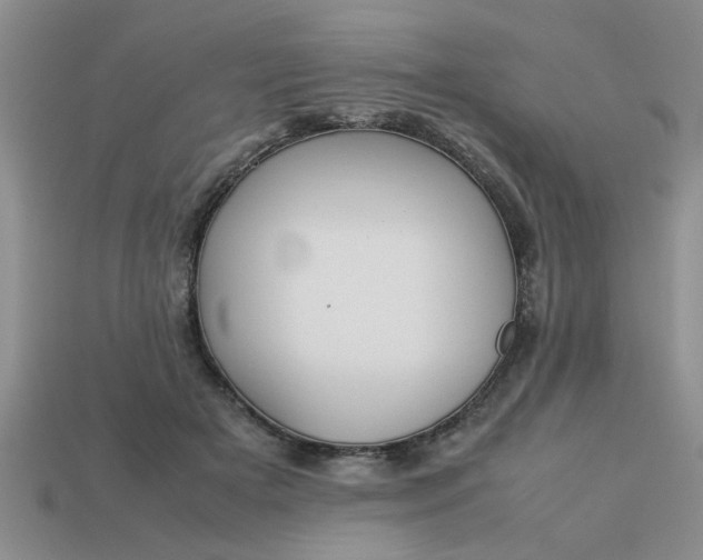 X0000113010505200909101820