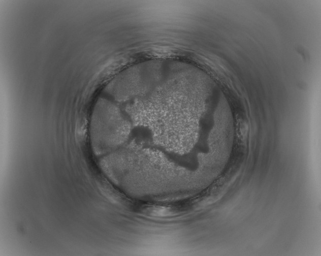 X0000113010507200909101820