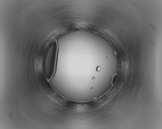 X0000113010508200909101820