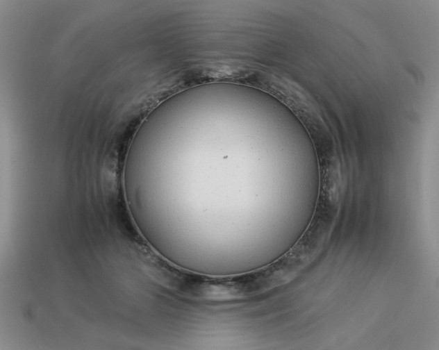 X0000113010510200909101820