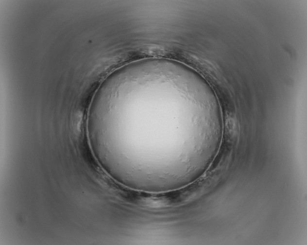 X0000113010511200909101820