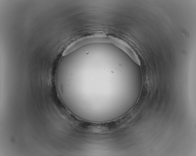 X0000113010512200909101820