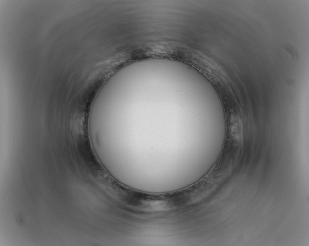 X0000113010514200909101820