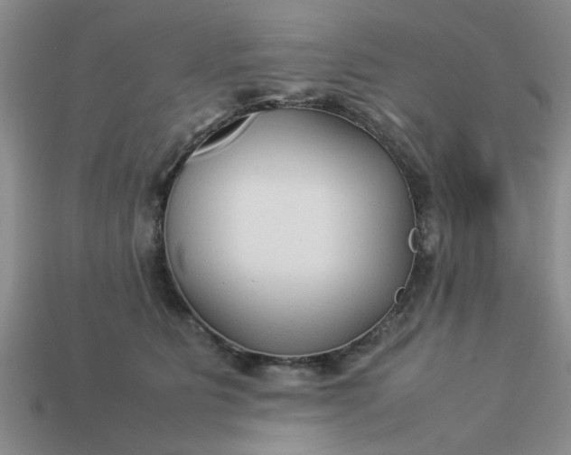 X0000113010515200909101820