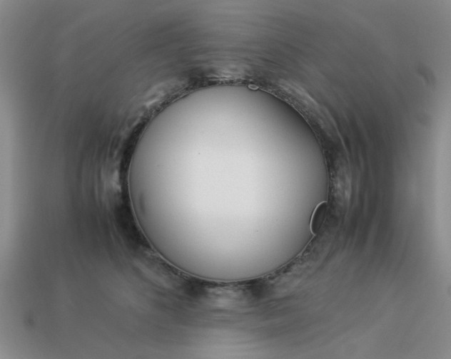 X0000113010516200909101820