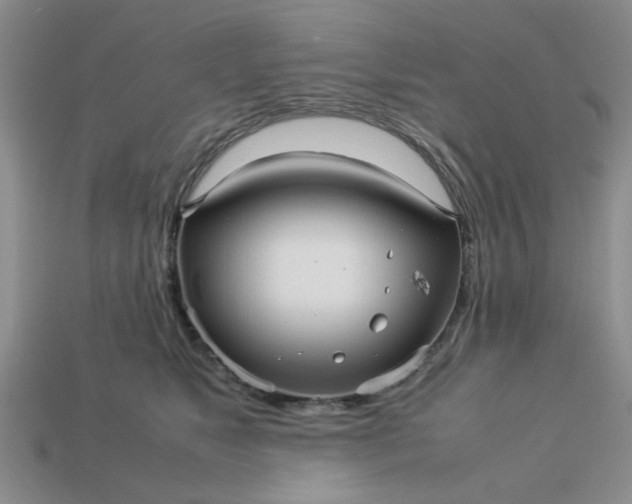 X0000113010517200909101820