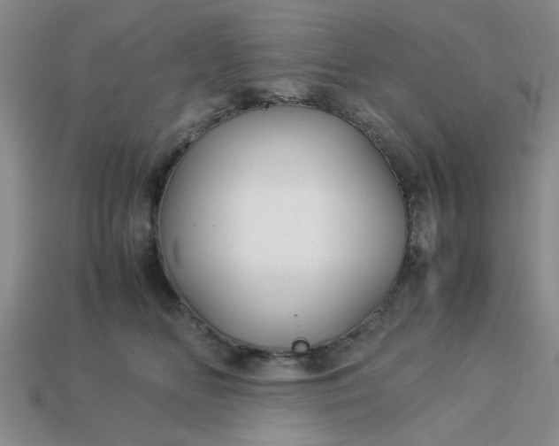 X0000113010518200909101820