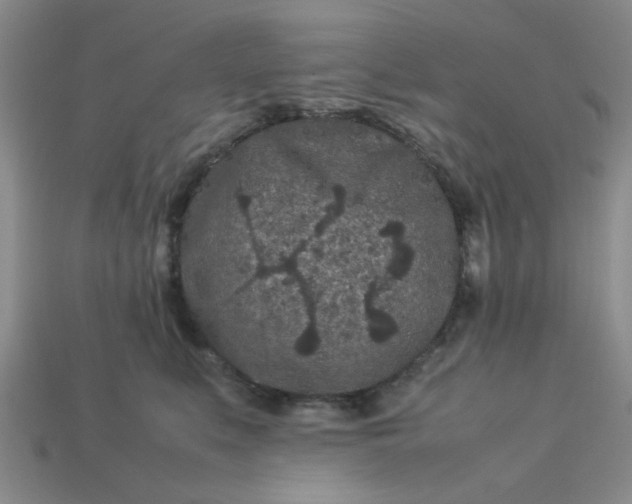 X0000113010519200909101820