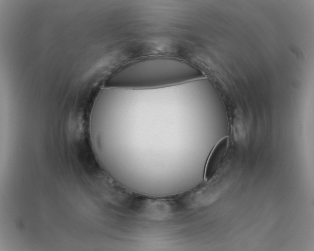 X0000113010520200909101820