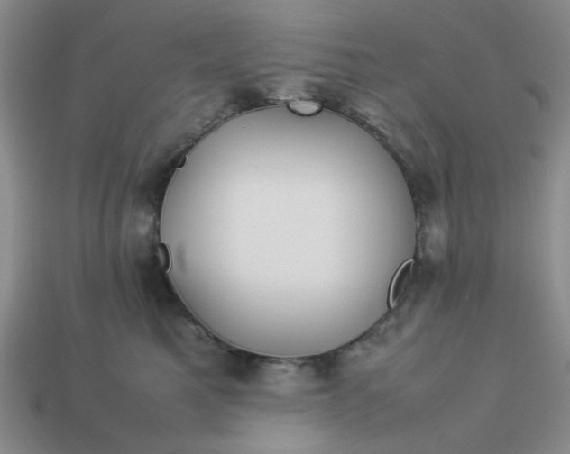 X0000113010521200909101820