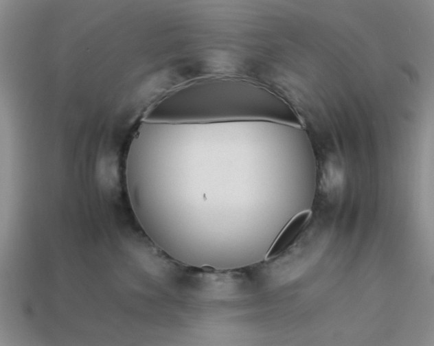 X0000113010524200909101820